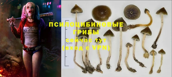 марки nbome Коряжма