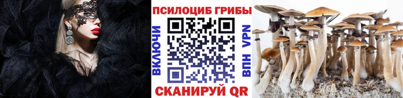 Псилоцибиновые грибы MAGIC MUSHROOMS  площадка состав  Сасово 